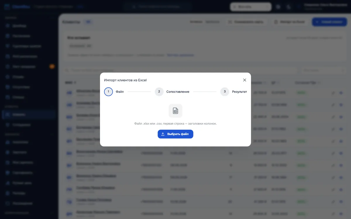 Окно импорта клиентов из Excel: выбор файла и сопоставление колонок